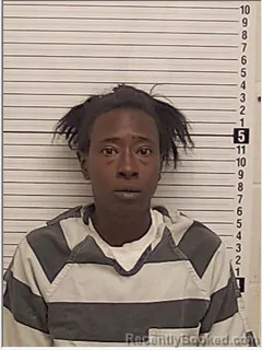 Mugshot of ERICA LASHONDRA HOSKINS booked in Bay County, Florida on April 23, 2026