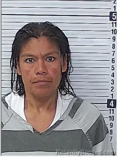 Mugshot of SOPHIA LEA KAZMIR booked in Bay County, Florida on April 25, 2026