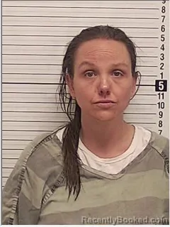 Mugshot of RACHEL DENISE LEVESQUE booked in Bay County, Florida on April 25, 2026