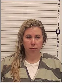 Mugshot of KAYLA JEANINE HARLESS booked in Bay County, Florida on April 26, 2026