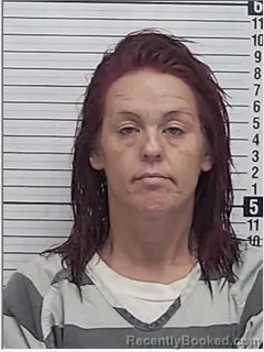 Mugshot of NICOLE MARIE BANAS booked in Bay County, Florida on April 26, 2026