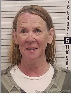 Mugshot of MARY ANNE MAYHEW booked in Bay County, Florida on April 27, 2026