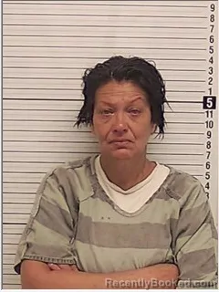 Mugshot of TERESA LYNN RAISBECK booked in Bay County, Florida on April 28, 2026