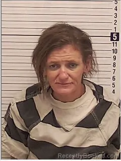 Mugshot of APRIL DAWN CARLEE booked in Bay County, Florida on April 30, 2026