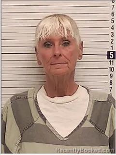 Mugshot of TERESA ANNE LAWLESS booked in Bay County, Florida on April 30, 2026