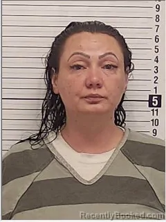Mugshot of IONELA DANIELA GADALEAN booked in Bay County, Florida on April 30, 2026