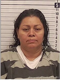 Mugshot of MARIA ELENA GOMEZ DE DELGADO booked in Bay County, Florida on May 2, 2026