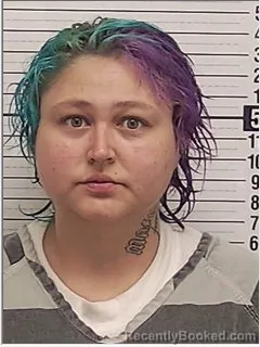 Mugshot of DANIELLE ELAINE BRESLIN booked in Bay County, Florida on May 4, 2026