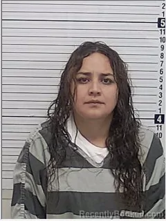 Mugshot of KAREN ITZEL GONZALEZ booked in Bay County, Florida on May 4, 2026