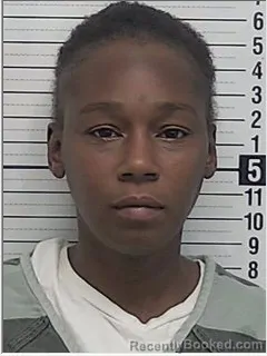 Mugshot of Daniele Nicole Pickett