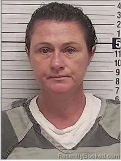 Mugshot of JOANNA MICHELLE DOSWELL booked in Bay County, Florida on May 17, 2026