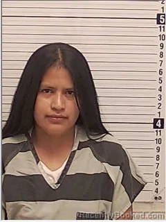 Mugshot of DENIA AZUCENA LOPEZ-MARQUEZ booked in Bay County, Florida on June 4, 2026