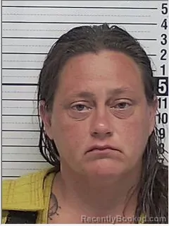 Mugshot of AMY LYN FOX booked in Bay County, Florida on June 6, 2026