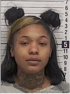Mugshot of TYKERYA NYESHIA DIXON booked in Bay County, Florida on June 7, 2026