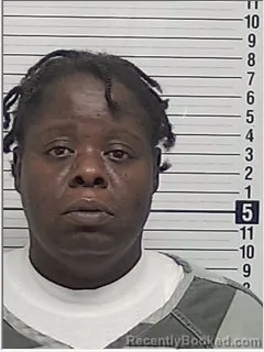 Mugshot of MATTIE DELOIS DAWSON booked in Bay County, Florida on June 7, 2026