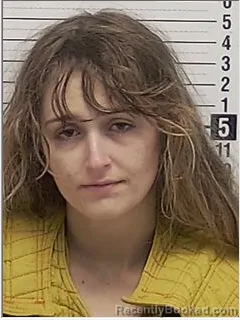 Mugshot of ADELE MCKENZIE HOLLAND booked in Bay County, Florida on June 8, 2026
