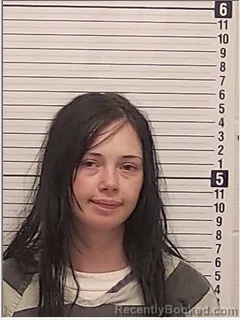 Mugshot of HOLLI ISABELLE WOOD booked in Bay County, Florida on June 9, 2026