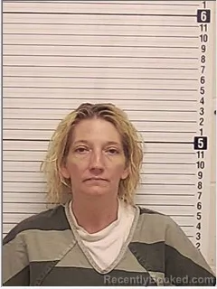 Mugshot of ELLAINE MARIE BECK booked in Bay County, Florida on June 11, 2026