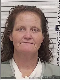 Mugshot of KIMBERLY ROSETTA WILLIAMS booked in Bay County, Florida on June 12, 2026