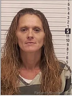 Mugshot of KAREN MAY JOSLYN booked in Bay County, Florida on June 13, 2026