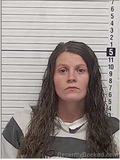 Mugshot of HALEY LYNN VANDIVER booked in Bay County, Florida on June 17, 2026