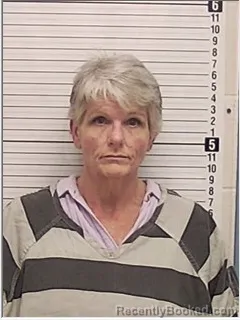 Mugshot of MICHELLE LYNN GASKIN booked in Bay County, Florida on June 20, 2026