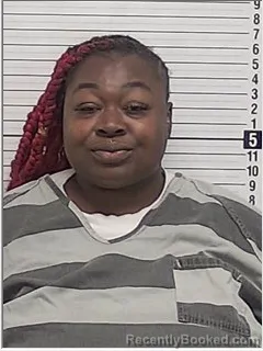 Mugshot of TAISHA RASHANNA PETERSON booked in Bay County, Florida on June 21, 2026