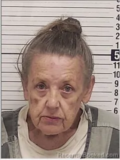 Mugshot of JANET GAIL LOGUE booked in Bay County, Florida on June 21, 2026
