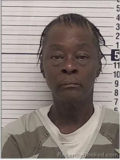 Mugshot of ARNESTA LAVERNE LEWIS booked in Bay County, Florida on June 21, 2026