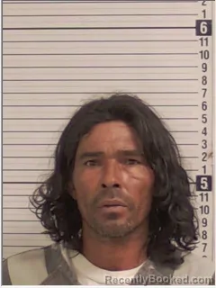 Mugshot of WILMAR ALEXANDER HERNANDEZ-HERNANDEZ booked in Bay County, Florida on June 22, 2026