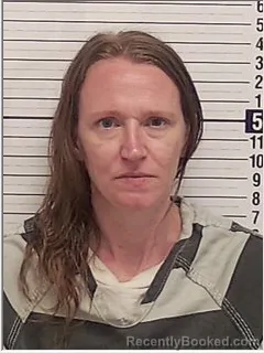 Mugshot of HEATHER NICOLE BOISE booked in Bay County, Florida on June 22, 2026