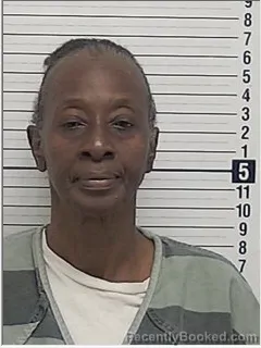 Mugshot of PAMALA BELLAMY LEE booked in Bay County, Florida on June 22, 2026