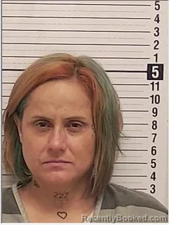 Mugshot of CASEY NICOLE LOLLIS booked in Bay County, Florida on June 22, 2026