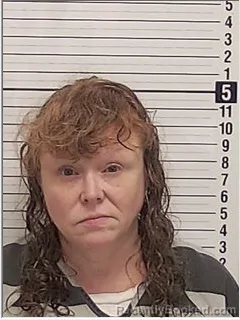 Mugshot of JEANA RENEE SPEARS booked in Bay County, Florida on June 24, 2026