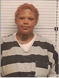 Mugshot of DESHAWNA TRENA WASHINGTON booked in Bay County, Florida on June 24, 2026