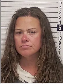 Mugshot of ASHLEY RENE ROSS booked in Bay County, Florida on June 25, 2026
