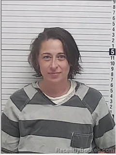 Mugshot of ERIN LEIGH TODD booked in Bay County, Florida on June 28, 2026