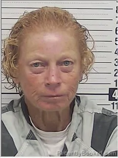 Mugshot of TAMMY CAROL STEINMETZ booked in Bay County, Florida on June 28, 2026