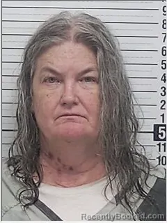Mugshot of CAROLYNN IRENE KING booked in Bay County, Florida on June 28, 2026