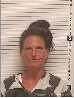 Mugshot of SARAH ANN YOUNG booked in Bay County, Florida on June 29, 2026