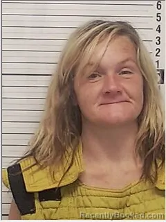 Mugshot of DISNEE CHEYANNE WARD booked in Bay County, Florida on June 29, 2026