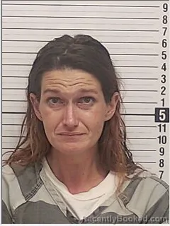 Mugshot of Ashley Danielle Audette booked in Bay County, Florida on July 27, 2026