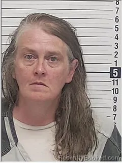 Mugshot of Donna Loraine Nida booked in Bay County, Florida on July 28, 2026