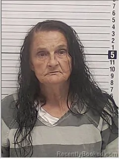 Mugshot of Linda Jean Lowe booked in Bay County, Florida on July 28, 2026
