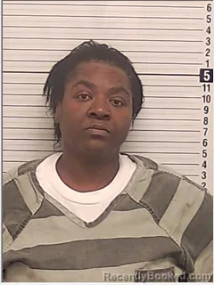 Mugshot of Chiquita Lyvette Curry booked in Bay County, Florida on July 30, 2026