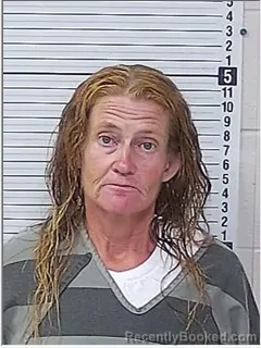 Mugshot of MELISSA LEE JOYNER booked in Bay County, Florida on August 4, 2026