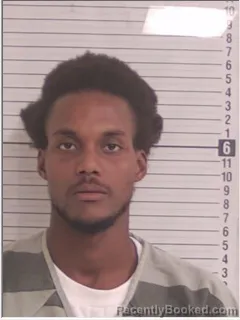 Mugshot of TYRECE DEMOTRAYA EDMONDSON booked in Bay County, Florida on August 4, 2026