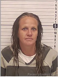 Mugshot of Brittany Morgan Barwick booked in Bay County, Florida on August 7, 2026