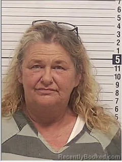 Mugshot of Dawn Michelle Hollis booked in Bay County, Florida on August 8, 2026