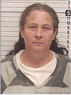 Mugshot of Amanda Lee Sawyer booked in Bay County, Florida on August 8, 2026